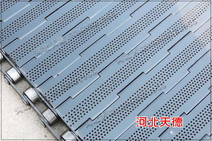 齒輪板式不銹鋼輸送帶